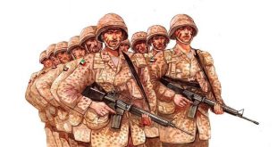 صورة تعبيرية احتفالا بعودة جنود الدولة