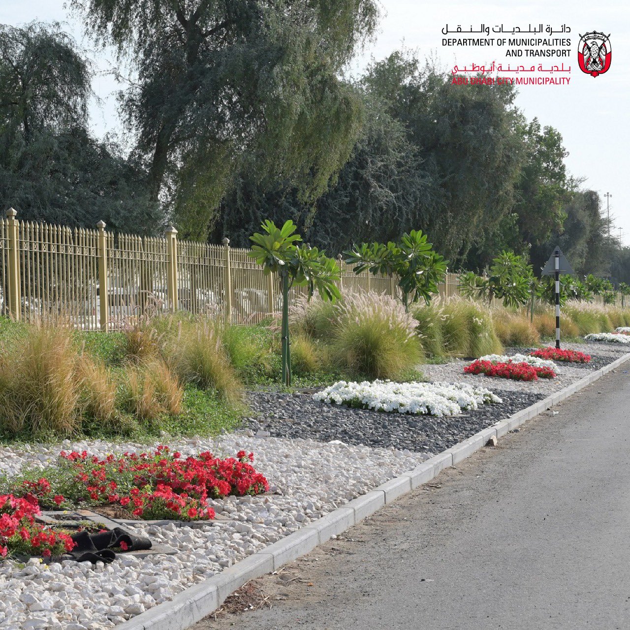 زراعة 10 آلاف شجرة بالطرق الرئيسية في جزيرة أبوظبي - برق الإمارات