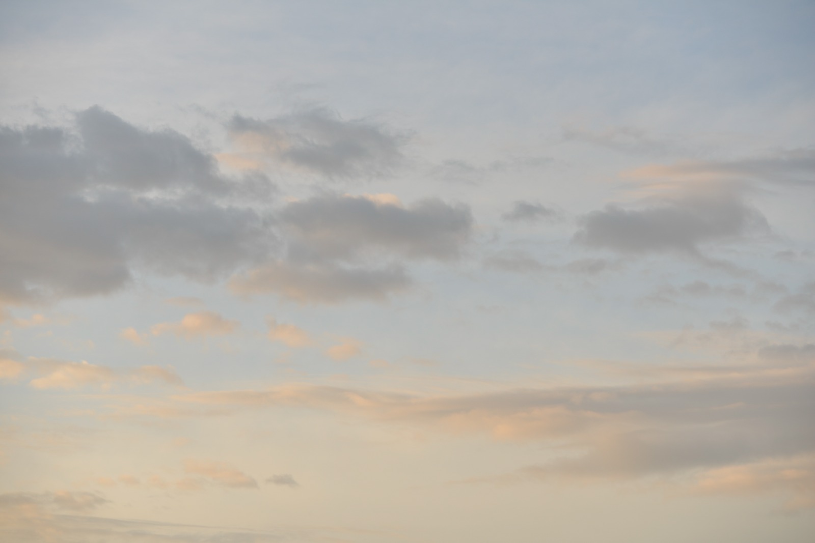 المركز الوطني للأرصاد الجوية يحذر من تشكل الضباب وتدني مدى الرؤية الأفقية