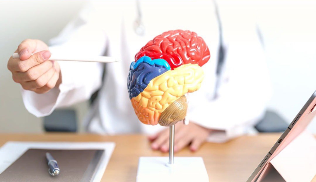 دراسة: النشاط الصباحي يقلل خطر الإصابة بالخرف