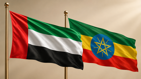 الإمارات تبحث تعزيز التعاون في مجالات الطوارئ والأزمات وإدارة الكوارث مع إثيوبيا