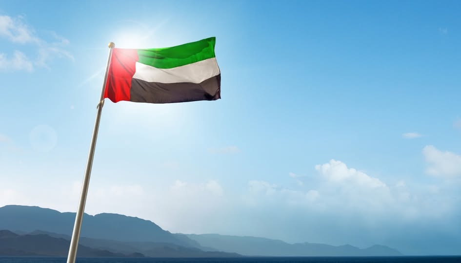 الإمارات تتضامن مع فرنسا في حرائق الغابات