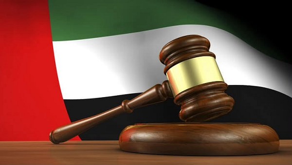 دبي تؤكد اتخاذ الإجراءات القانونية اللازمة بحق المؤسسات التي تنشر معلومات غير صحيحة
