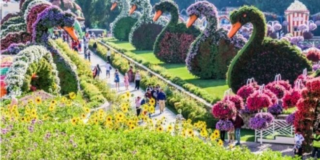 Dubai Miracle Garden On The World S Best Gardens List Uae Barq